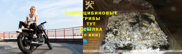 дживик Аркадак