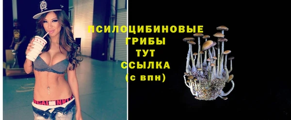 герыч Переславль-Залесский
